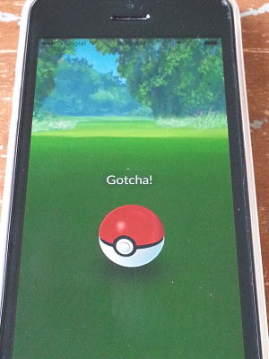 Screenshot of Pokemon GO's Gotcha!